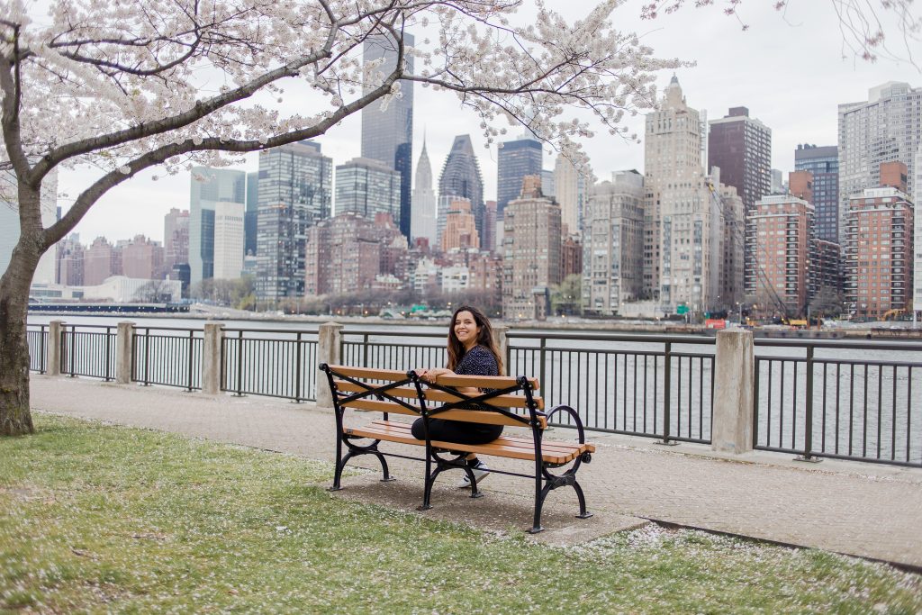 Onde ver as flores de cerejeira em Nova York?