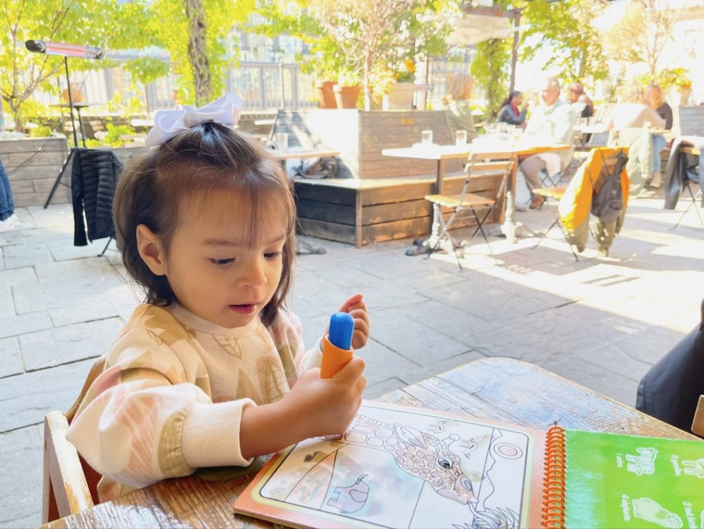 14 Kid friendly Rooftop Bars In New York 