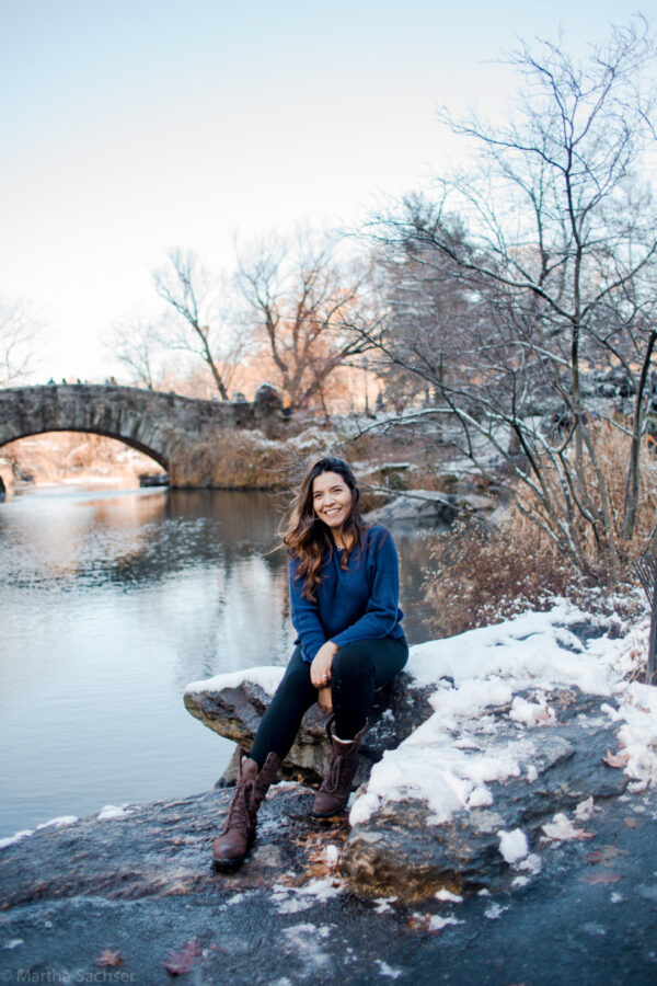 January Rest January in New York: What to do, how to dress, the weather, and much more!